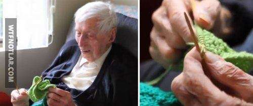 109 yaşında ve penguenler için kazak örüyor, Alfred Date 4