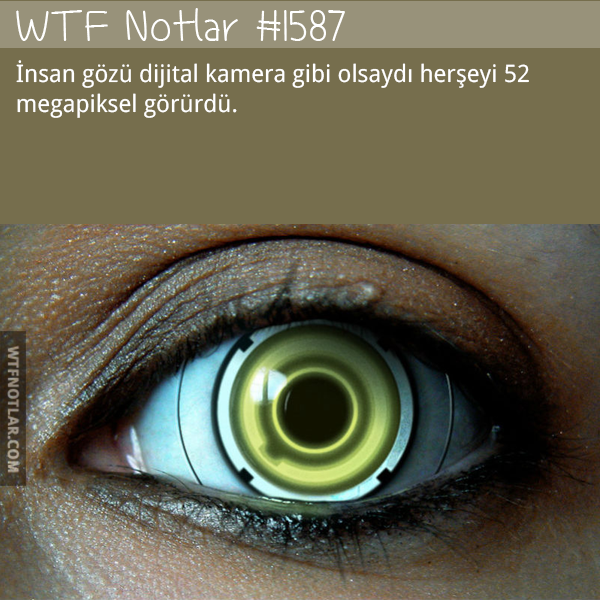 İnsan gözü 52 megapiksel